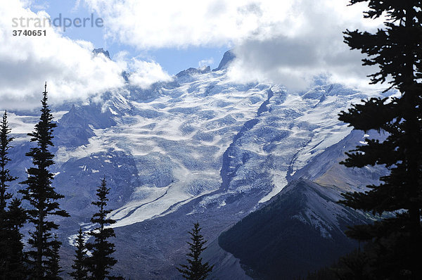 Gletscher des Mount Rainier National Park  Washington  USA