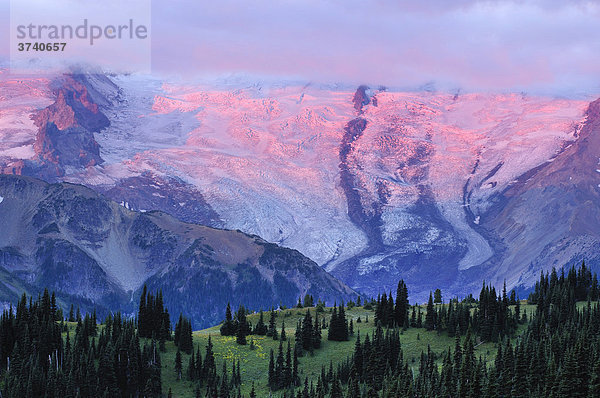 Gletscher des Mount Rainier bei Sonnenaufgang  Mt. Rainier National Park  Washington  USA