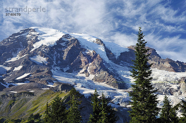 Blick vom Nisqually Glacier View auf den Gletscher des Mount Rainier  Mt. Rainier Nationalpark  Washington  USA  Nordamerika