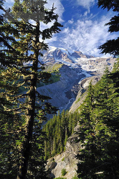Blick vom Nisqually Glacier View auf den Gletscher des Mount Rainier  Mt. Rainier Nationalpark  Washington  USA  Nordamerika