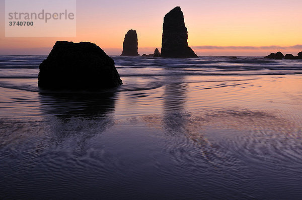 Monolithen  erstarrte Lavafelsen am Cannon Beach  Clatsop County  Oregon  USA  Nordamerika