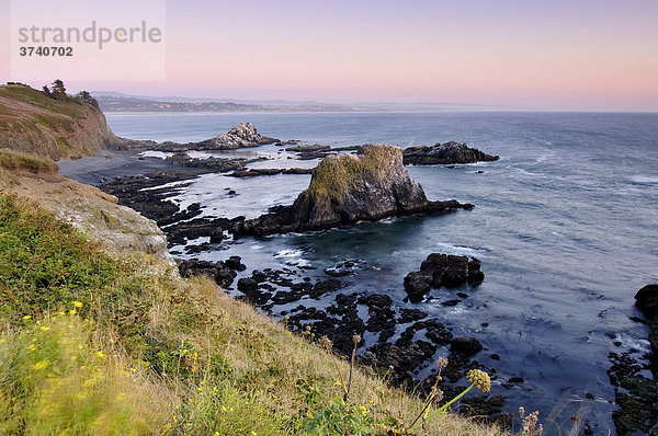 Felsenbucht bei Yaquina Head State Park  Oregon  USA  Nordamerika