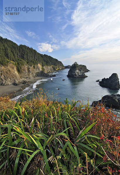 Blick vom Sisters Rocks Viewpoint  Klamath  Kalifornien  USA