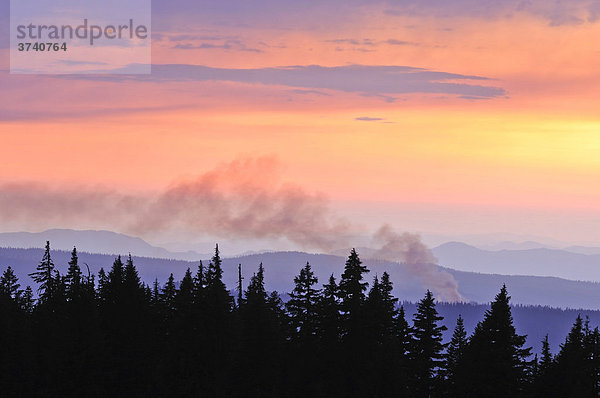 Waldbrand im Crater Lake Nationalpark  Oregon  USA  Nordamerika