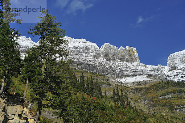 Blick vom Logan Pass Viewpoint  Hauptbesuchspunkt im Glacier National Park  Montana  USA  Nordamerika