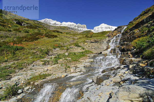 Wasserfall am Logan Pass  Hauptbesuchspunkt im Glacier National Park  Montana  USA  Nordamerika