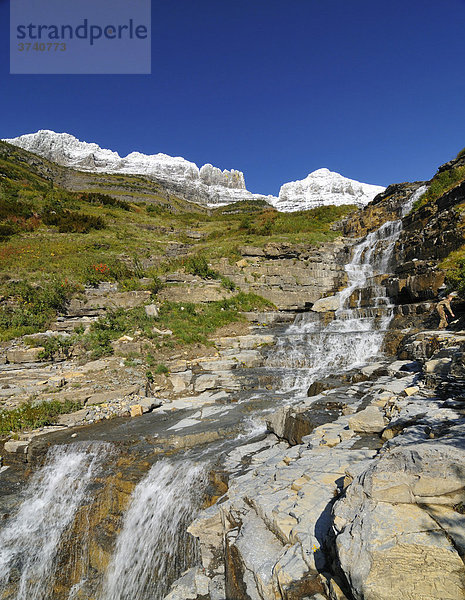 Wasserfall am Logan Pass  Hauptbesuchspunkt im Glacier National Park  Montana  USA  Nordamerika