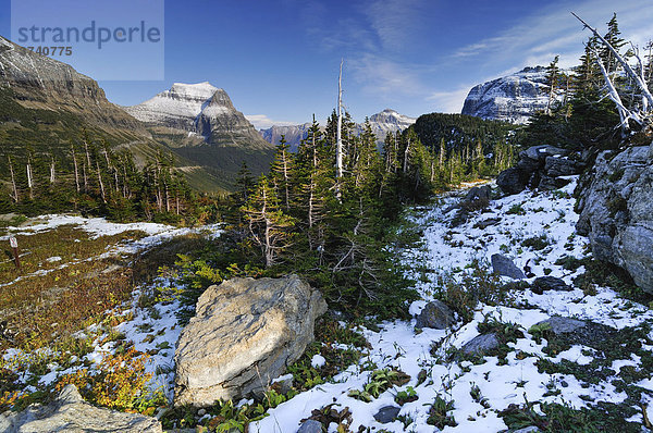 Logan Pass  Hauptbesuchspunkt im Glacier National Park  Montana  USA  Nordamerika