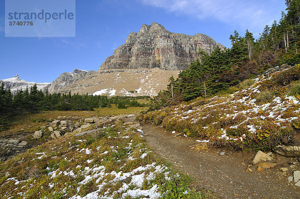 Wanderweg am Logan Pass  Hauptbesuchspunkt im Glacier National Park  Montana  USA  Nordamerika