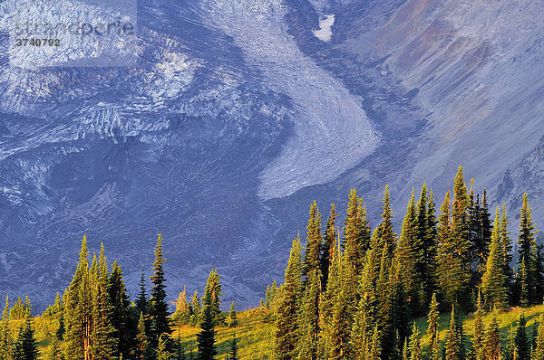 Abschmelzende Gletscherzunge  Gletscherschwund  Klimawandel  Mt. Rainier Nationalpark  Washington  USA  Nordamerika