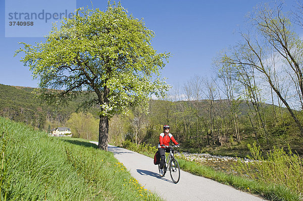 Radfahrerin entlang des Triestingtalradweges zwischen Weißenbach und Fahrafeld  Triestingtal  Niederösterreich  Österreich  Europa