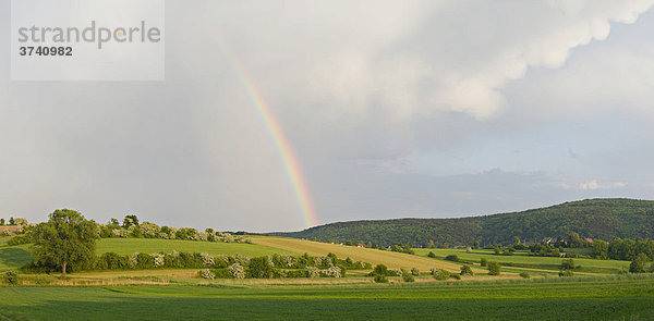 Regenbogen über grünen Feldern  Niederösterreich  Österreich  Europa
