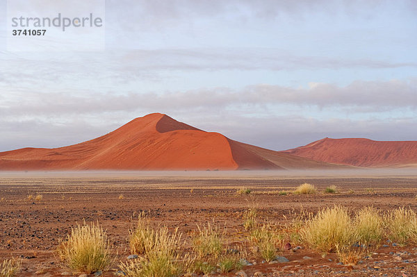 Sanddünen bei Sesriem im Morgennebel  Namibia  Afrika