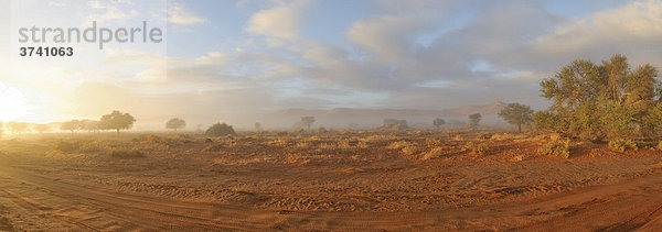 Sonnenaufgang über Morgennebel in der Sandwüste der Namib bei Sossusvlei  Namibia  Afrika