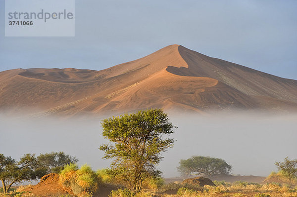 Sonnenaufgang über Morgennebel in der Sandwüste der Namib bei Sossusvlei  Namibia  Afrika