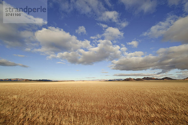 Blick von Sesriem über Grassteppe in die Namib-Wüste  Namibia  Afrika