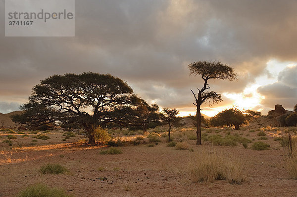 Namtib Gästefarm in den Tirasbergen  Namibia  Afrika