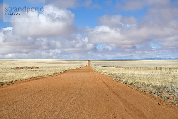 Auf der Straße D0707 am Rand der Namib  Namibia  Afrika