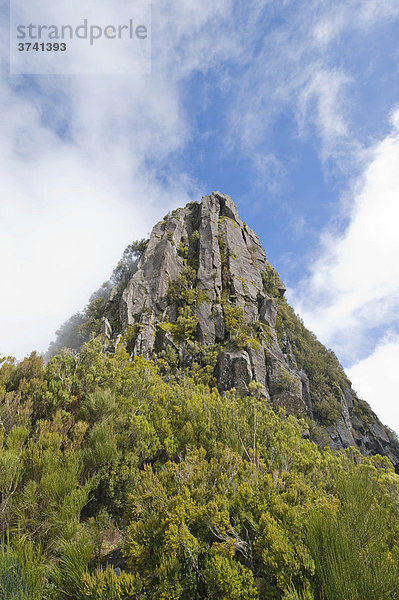 Berg Pinaculo  Levada da Serra  Madeira  Portugal