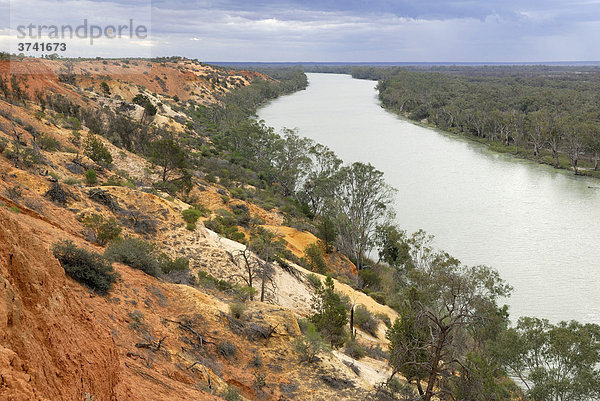 Headings Cliffs  Steilufer des Murray River bei Paringa  South Australia  Australien