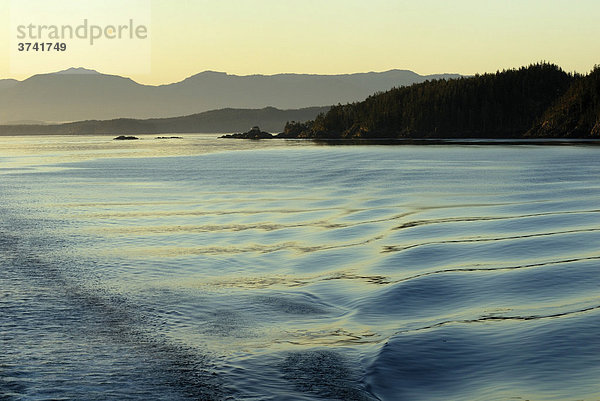 Auslaufende Heckwelle eines Schiffes vor Inselgruppe im Morgenlicht  Inside Passage  British Columbia  Kanada  Nordamerika