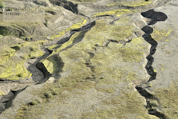 Flussbett am Fuß des Vulkans Mount St. Helens  Detailansicht  entstanden beim letzten Ausbruch 1980  Mount St. Helens National Volcanic Monument  Washington  USA