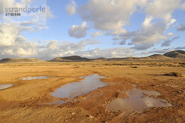 Wasserpfützen nach Regenschauer in El Cotillo  Fuerteventura  Kanarische Inseln  Kanaren  Spanien  Europa