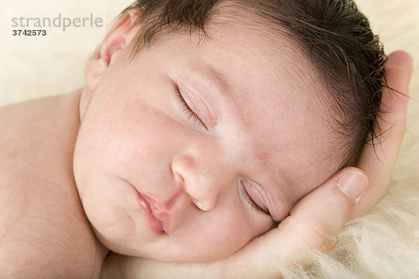 Neugeborenes Baby  zwei Wochen alt  schläft auf der Hand seiner Mutter