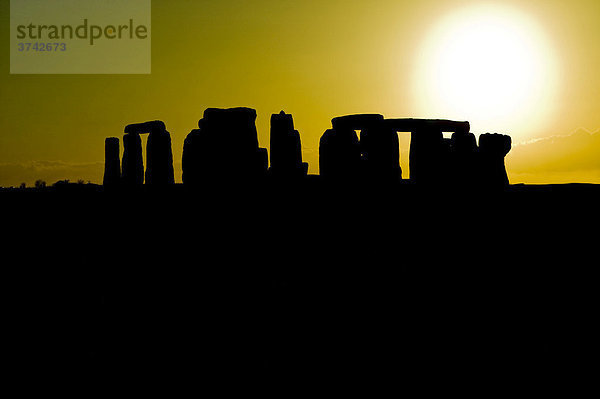 Stonehenge vor untergehender Sonne  Wessex  England  Großbritannien  Europa
