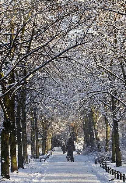Spaziergänger im winterlichen Park