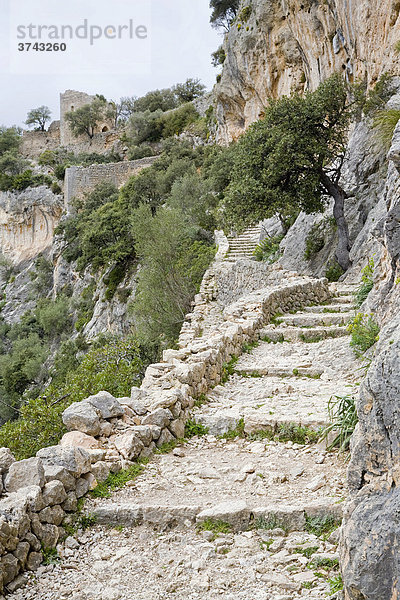 Treppenweg zur Ruine der Burg Castell d' Alaro  Castillo de Alaro  oberhalb von Alaro  Mallorca  Balearen  Spanien  Europa