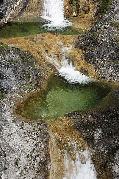 Wasserfall in Tannermühle bei Bayrischzell  Alpen  Oberbayern  Deutschland  Europa