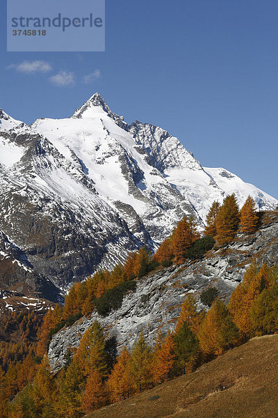 Großglockner  herbstliche Lärchen  Blick von Großglockner-Hochalpenstraße  Nationalpark Hohe Tauern  Kärnten  Österreich  Europa