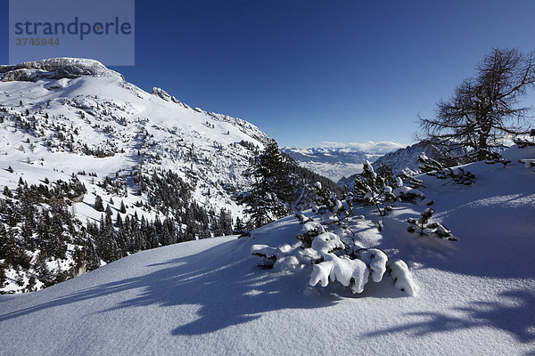 Winterlandschaft im Rofan mit Haiderjoch  Rofangebirge  Tirol  Österreich  Europa