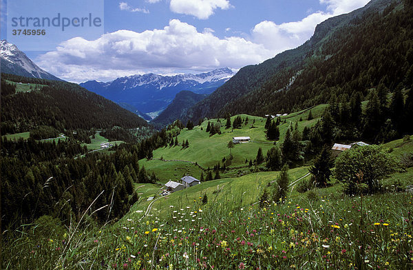 Prudaint  Val Poschiavo  Bernina  Graubuenden  Switzerland  Europe