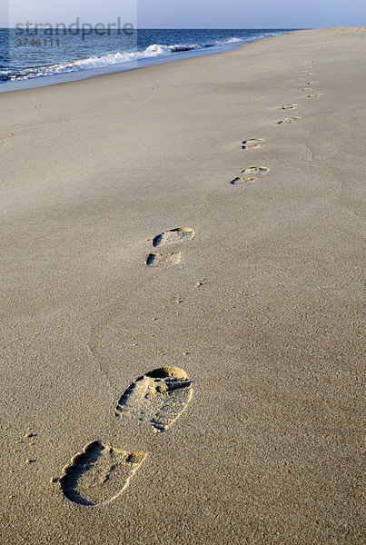 Spuren im Sand  Weststrand der Insel Sylt  Schleswig-Holstein  Deutschland  Europa
