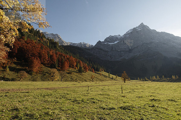 Berggipfel mit herbstlich gefärbtem Wald  Großer Ahornboden in der Eng  Risstal  Österreich  Europa