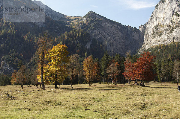 Herbststimmung mit Bergen im Großen Ahornboden in der Eng  Risstal  Österreich  Europa