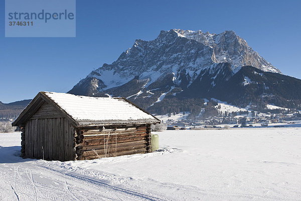 Heuschuppen im Schnee  hinten die Zugspitze  Tirol  Österreich  Europa