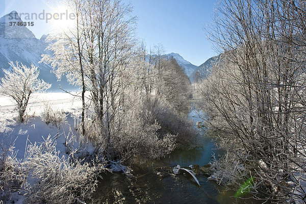 Ein kleiner Bach mit tief verschneiten Bäumen zwischen den Ortschaften Ehrwald und Lermoos  Tirol  Österreich  Europa