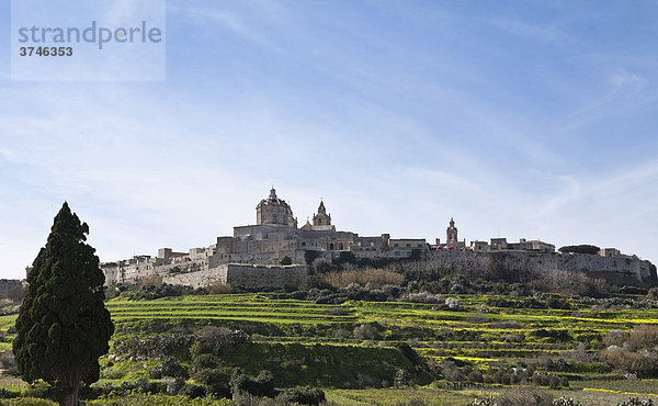 Die Kathedrale von Mdina  errichtet auf arabischen Fundamenten  Mdina  Malta  Europa