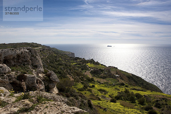 Golden Bay coast  Malta  Europe
