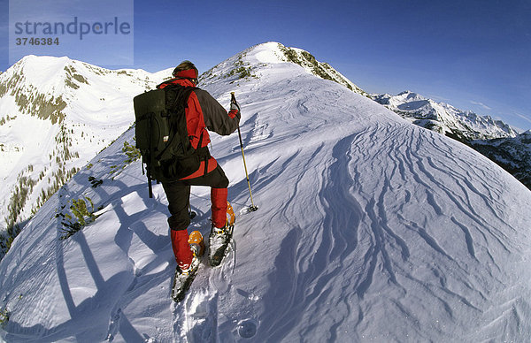 Schneeschuhgeherin auf dem Gipfelgrat des Spirzinger  2066m  Südwiener Hütte  Radstädter Tauern  Salzburg  Österreich  Europa