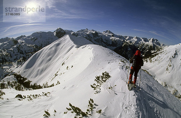 Schneeschuhgeherin auf dem Gipfelgrat des Spirzinger  2066m  Südwiener Hütte  Radstädter Tauern  Salzburg  Österreich  Europa