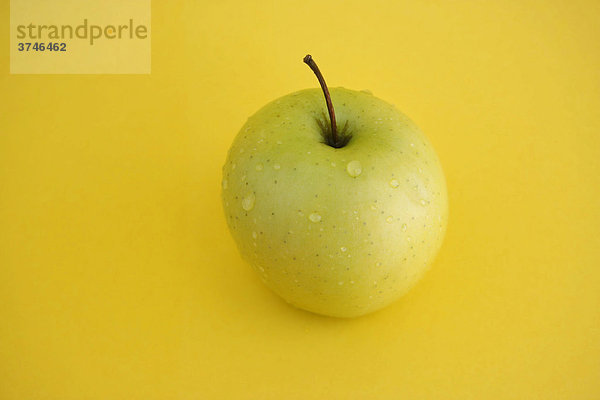 Apfel (Malus domestica)  Golden Delicious