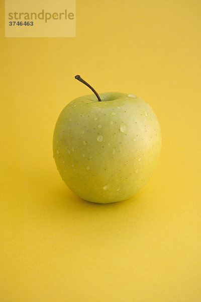 Apfel (Malus domestica)  Golden Delicious