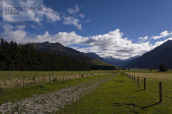 Landwirtschaftliche Wiese mit Mount Action  Haast  Southland  Südinsel  Neuseeland