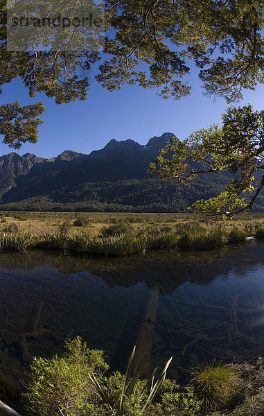 Mirror Lakes  Southland  Südinsel  Neuseeland