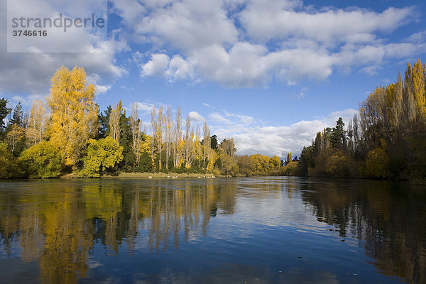 Herbstwald mit Wasserspiegelungen am Clutha River  Roxburgh  Otago  Südinsel  Neuseeland