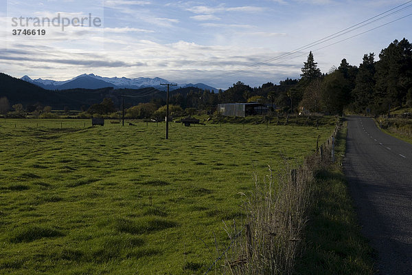 Grüne Wiese am Motueka Valley Highway  Tasman  Südinsel  Neuseeland